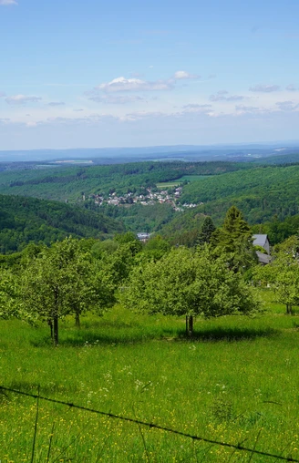 Taunus Schinderhannes Steig
