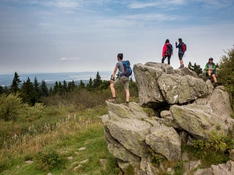Wanderer auf dem Brunhildisfelsen