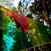 waldGLASweg