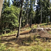 MTB-Trail Winterstein "Handkääs"