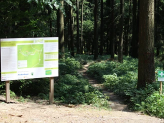 Flowtrail Großer Feldberg