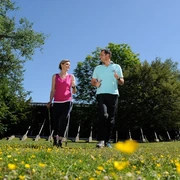 Terrainkurweg 2