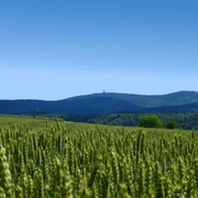 Buchfinkenland-Wanderweg in Idstein -Nieder- Oberrod