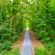 Naherholungsgebiet Hardtwald