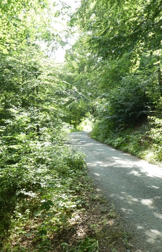 HKW Tillmannsweg. Auf dem Langen Weg.