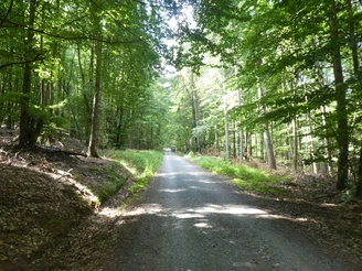 HKW Tillmannsweg. Auf dem Tillmannsweg