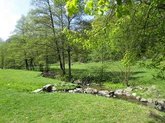 Woogbach im Woogtal