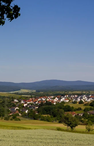 Blick zum Großen Feldberg