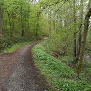Naturlehrpfad in Bad Camberg-Erbach