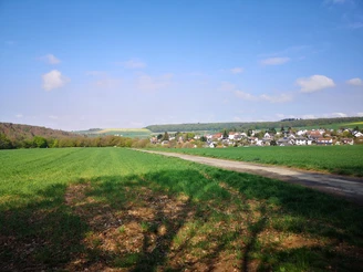 Blick auf Schwickershausen