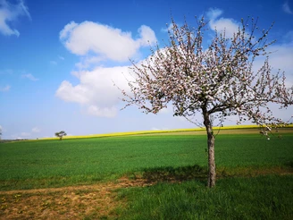 Großer Schwickershäuser Rundweg