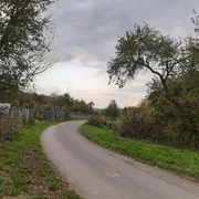 vom Börnchen Oberjosbach Richtung Niederjosbach