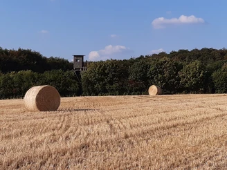 Sommer-Impressionen unterwegs