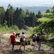 Große Heilklimawanderung
