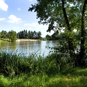Hattsteinweiher