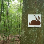 Wegzeichen Rundwanderweg "Hase"