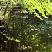 Forellenweiher
