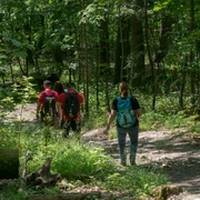 Wandern im Heilklima-Park