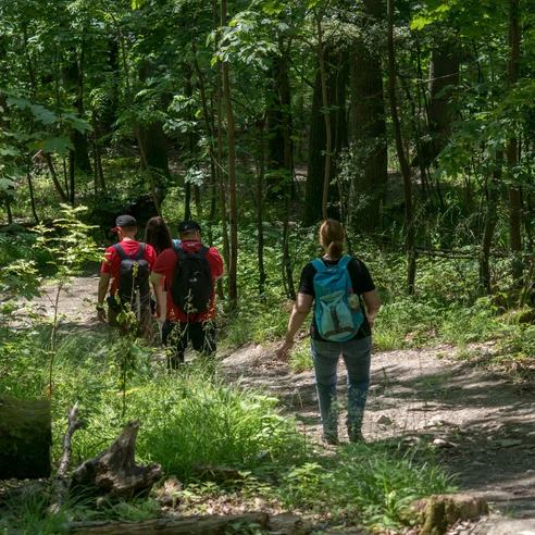 Wandern im Heilklima-Park