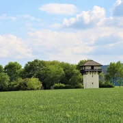 Landesgrenze - Adolfseck