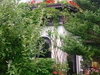 Gebäudeansicht/Sommer