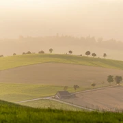 Landschaft im Abendlicht