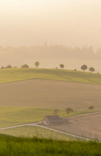 Landschaft im Abendlicht