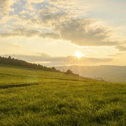 Landschaft im Abendlicht