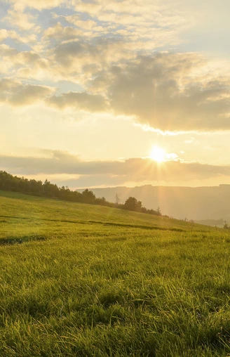 Landschaft im Abendlicht