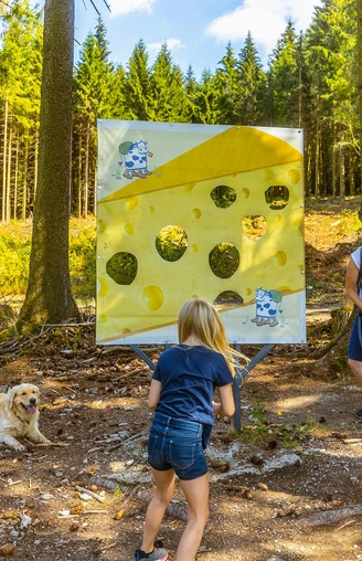 Zapfenwurf an der Käsewand am Milch-Erlebnispfad Usseln