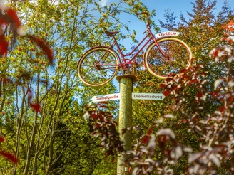 Wegweiser Fahrrad zur Diemelquelle