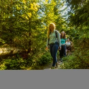 Wandergruppe im Wald