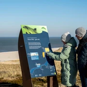 Infotafel zum Walschutzgebiet am Lister Ellenbogenberg