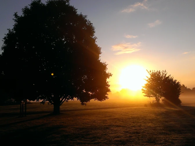 Terrainkurweg Bad Zwesten