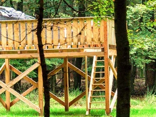 auf-einer-lichtung-steht-der-waldkorb.jpeg
