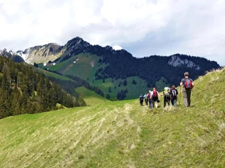 weitwandern-fruehling-gruppe-wiese-baeume-simmental.jpg