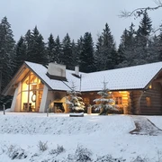 Tannenstub im Winter