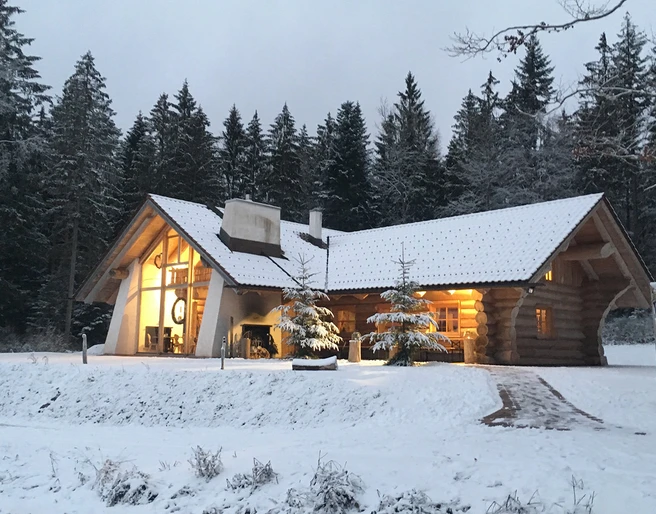 Tannenstub im Winter