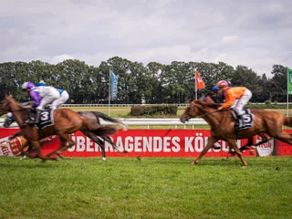 Rennen Galopprennen: Zwei Pferde in voller Geschwindigkeit auf grünem Rasen, mit bunten Jockeys.</p>Gallop racing: Two horses at full speed on green turf, with colorful jockeys.</p> <p