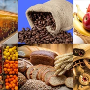 Eine Collage aus frischen Nahrungsmitteln, inklusive Brot, Obst, Gemüse, Kaffeebohnen und Honigwaben.