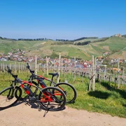 E Experience Durbach E Mountainbikes