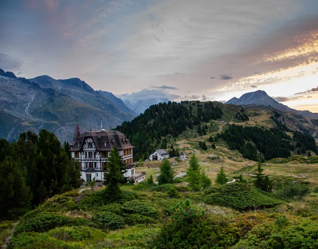 2022_Alpengarten_009.jpg