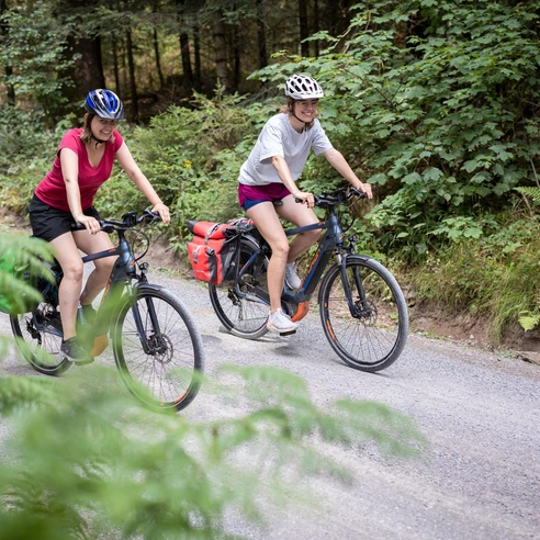 Radfahrer im Wald