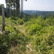 Aufstieg vom Krenkeltal zum Rothaarsteig