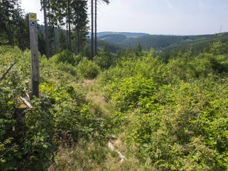 Aufstieg vom Krenkeltal zum Rothaarsteig