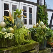 Tecklenburng_Töpferei_Teutoburger Wald Tourismus_Bohlken_1600.jpg Üppig bepflanzte Steinstufen vor einem Fachwerkhaus mit dekorativer Keramik im Vordergrund.