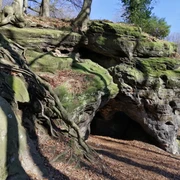 Eine Felsformation mit bemerkenswerten Wurzeln vor einem blauen Himmel und kahlen Bäumen.