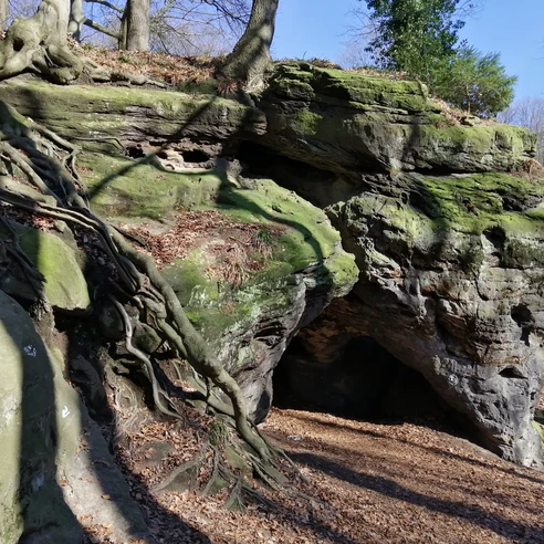 Eine Felsformation mit bemerkenswerten Wurzeln vor einem blauen Himmel und kahlen Bäumen.
