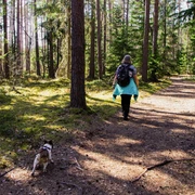 Bad Driburg_Wandern_pexels-pille-kirsi.jpg Eine Frau wandert mit ihrem Hund an Reelsen entlang.