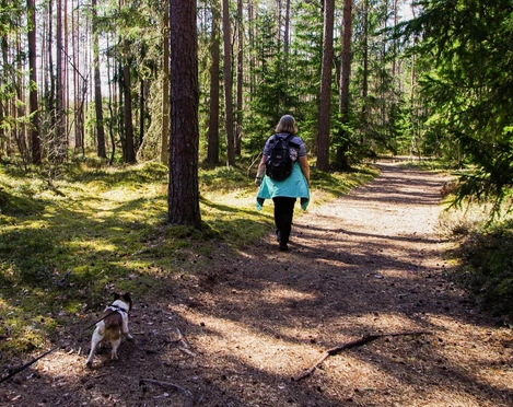 Bad Driburg_Wandern_pexels-pille-kirsi.jpg Eine Frau wandert mit ihrem Hund an Reelsen entlang.